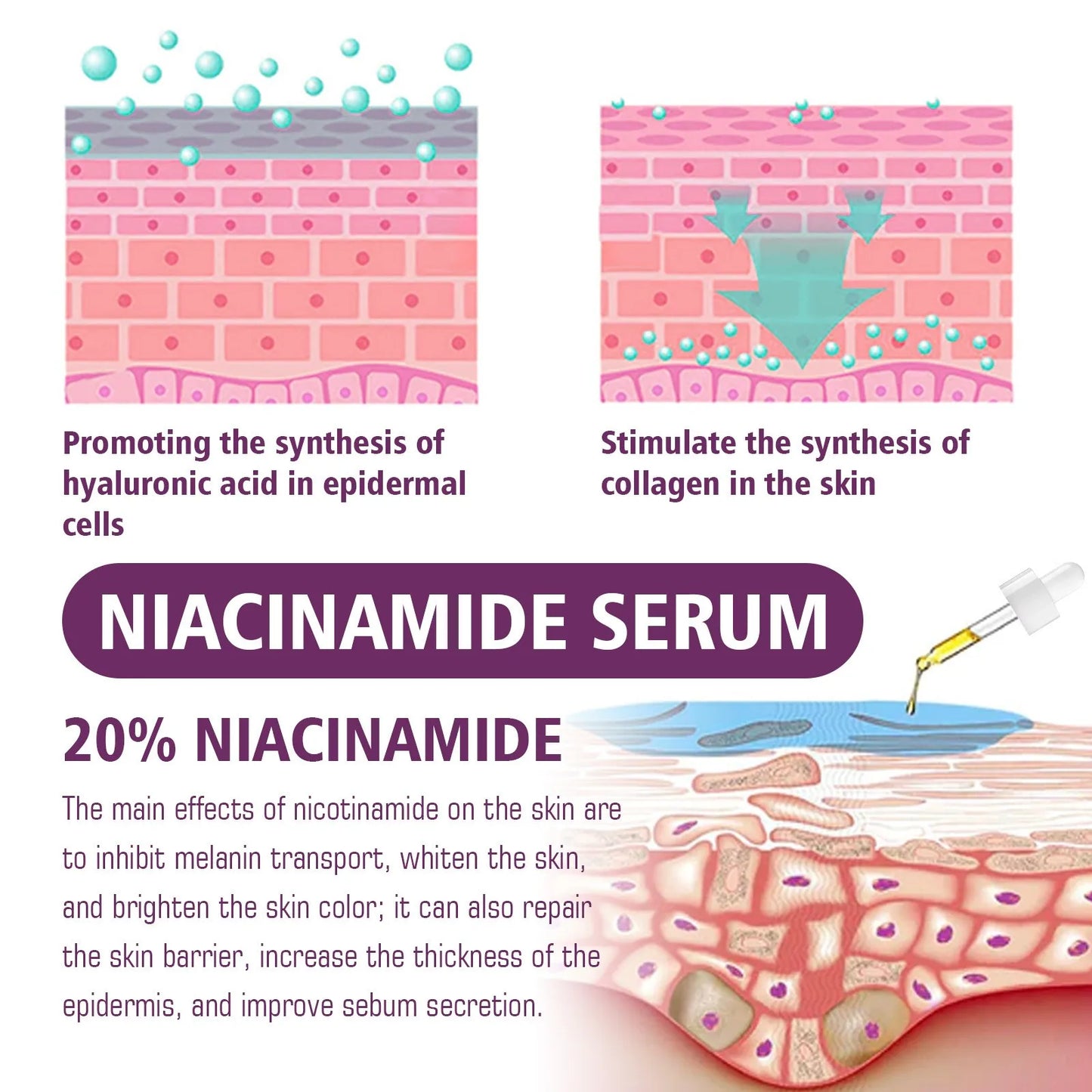 Pure B3 Power: 20% Niacinamide Brightening Serum – Paraben-Free, Pore-Refining Skin Solution 20ml